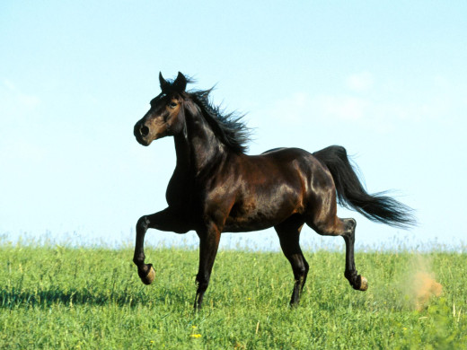 347664 (a): :1600x1200